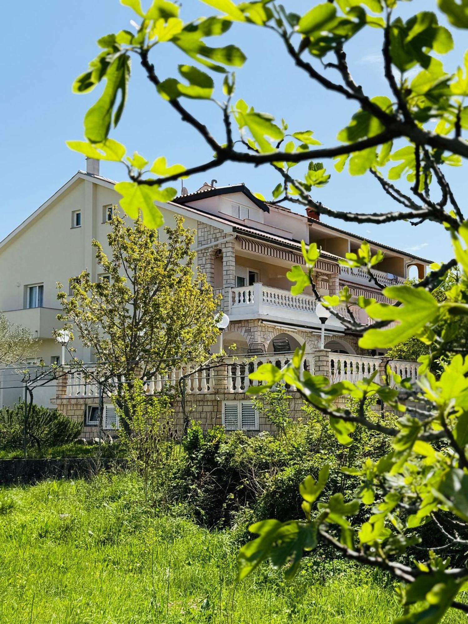 Palma Guesthouse Palit Kültér fotó